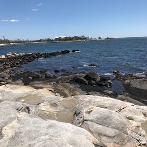 Meet your Posher, Arlene